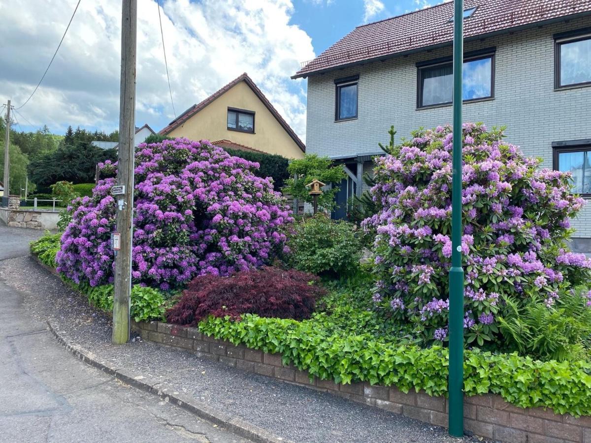 Apartment In Waltershausen Exterior foto